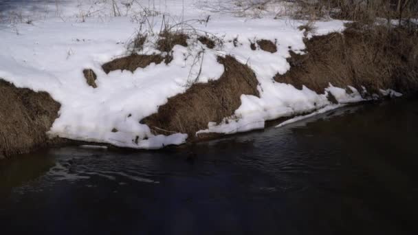 Snowy bos met riviertje — Stockvideo