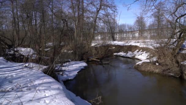 Forêt enneigée avec petite rivière 