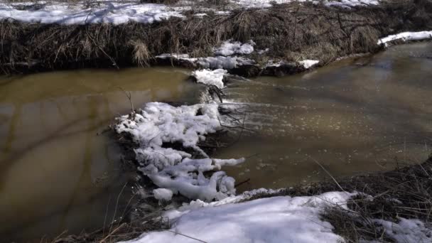 Petites chutes d'eau dans Forest River 