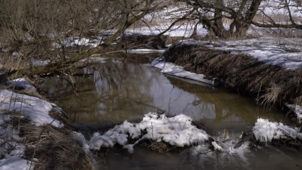 Petites chutes d'eau dans Forest River 