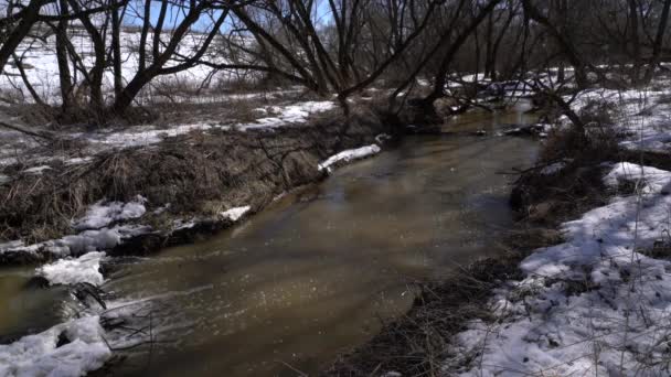 Kleine Wasserfälle im Waldfluss — Stockvideo