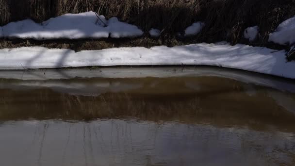 Water spiegel en sneeuw bedekt Shores — Stockvideo