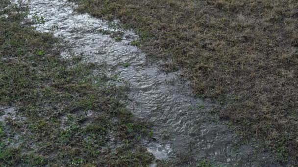 Schnee im Frühling schmilzt — Stockvideo