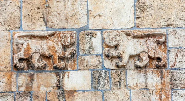 Porta del Leone, Muro della Città Vecchia, Gerusalemme — Foto Stock