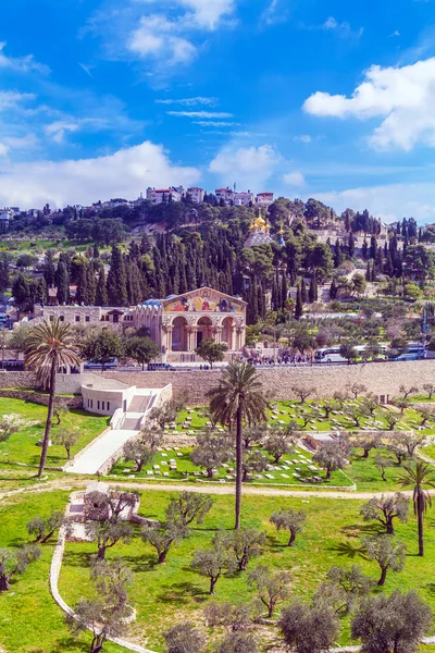 Berg von Oliven, jerusalem — Stockfoto
