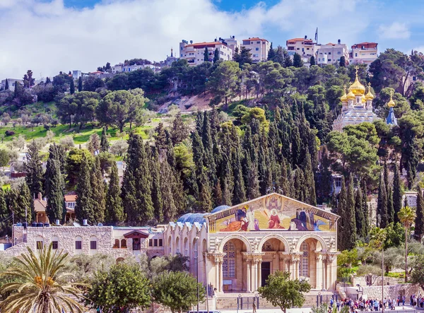 Monte de las aceitunas, Jerusalén — Foto de Stock