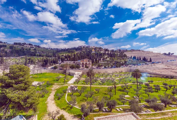 Monte de las aceitunas, Jerusalén —  Fotos de Stock