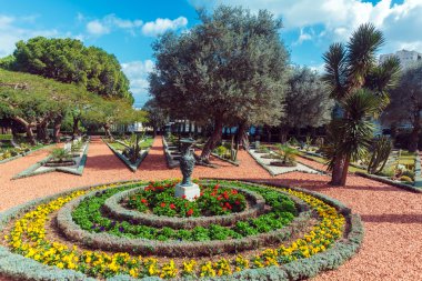 bahai bahçe çiçekleri