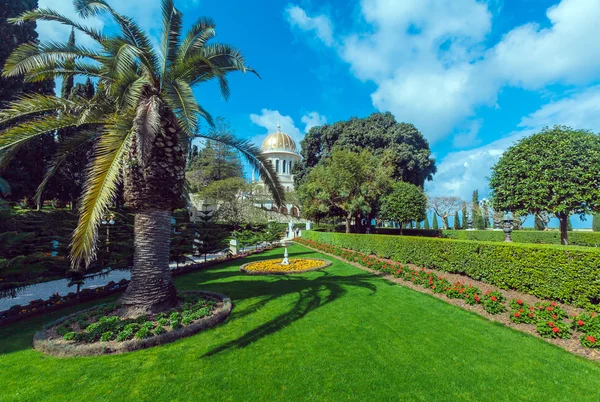 Flores de Bahai Garden — Foto de Stock