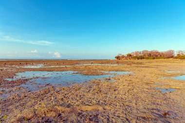 Düşük Tide ve tropikal plaj, Bali