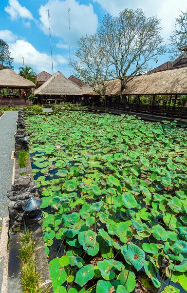 Lotus Tempel met vijver, Ubud, Bali — Stockfoto