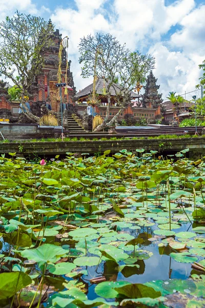 Lotus templet med damm, Ubud, Bali — Stockfoto