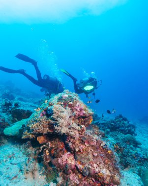 Grup derin gidiş dalgıçlar