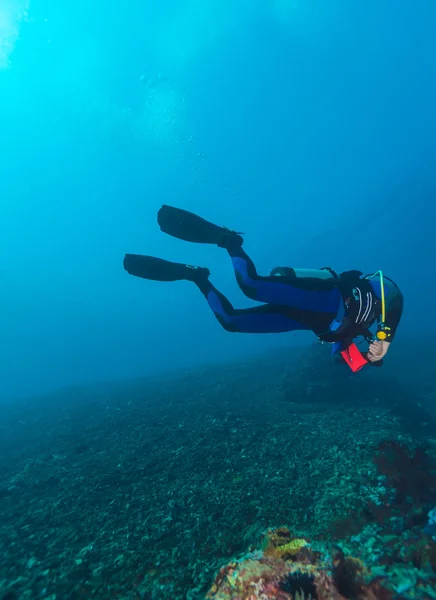 海の底の近くのスキューバダイバーのシルエット — Stock fotografie