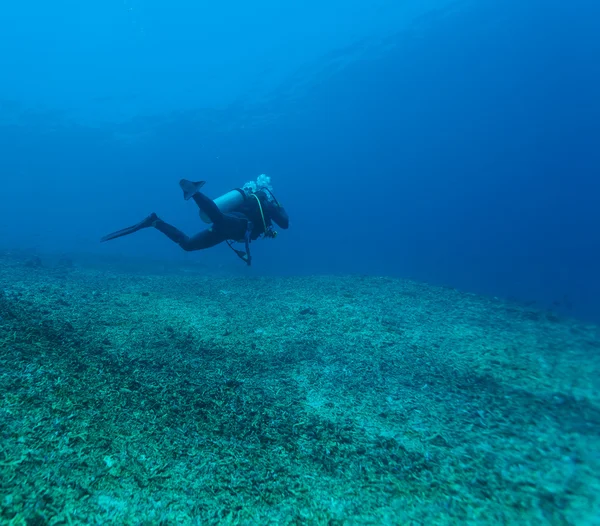 海の底の近くのスキューバダイバーのシルエット — Stock fotografie