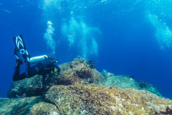 Silhouet van scuba duiker in de buurt van de zeebodem — Stockfoto