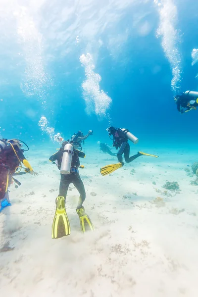 Groupe de plongeurs au-dessus du fond de sable — Photo