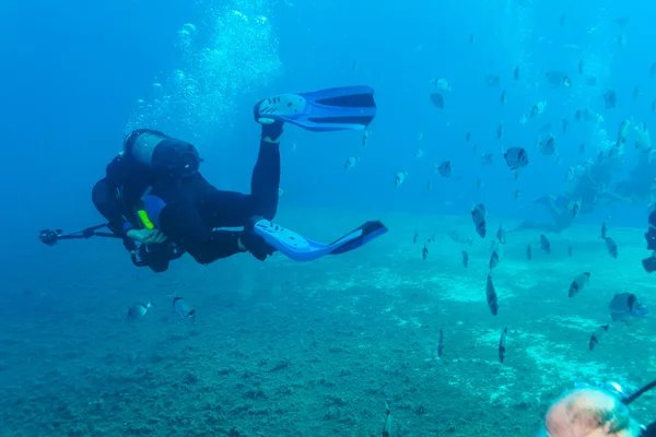 海の底の近くのスキューバダイバーのシルエット — ストック写真