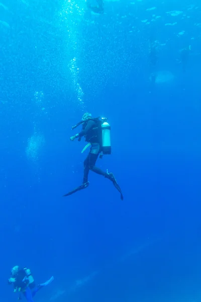 Silueta de buceo cerca del fondo del mar — Foto de Stock