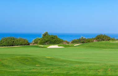 Golf alanının taze yeşil