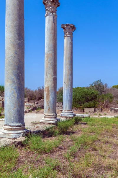 Ruins of Salamis near Famagust — Stock Photo, Image