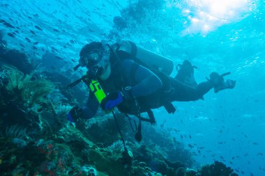 Bali Adası, Endonezya - 20 Ağustos 2008: Bilinmeyen dalgıç yüzme