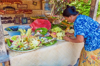 Ubud, Endonezya - 29 Ağustos 2008: Geleneksel s hazırlanıyor Kadın