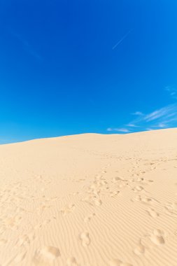 Pile, Arcachon Bay Dune görünümünden