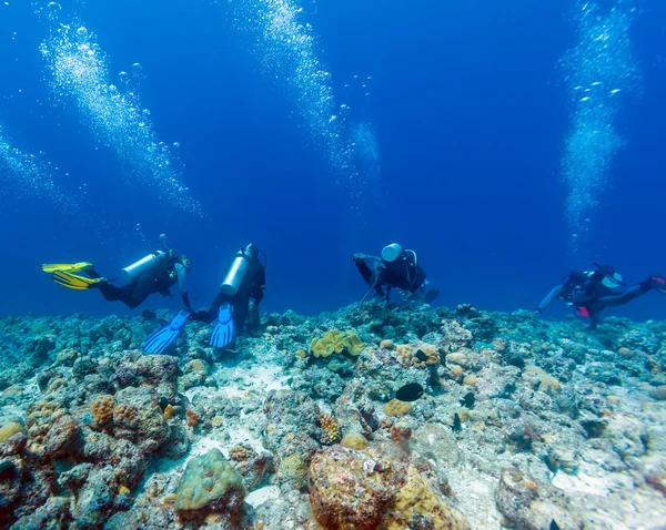 Group of divers hanging on reef wall in strong current — Stock Photo, Image