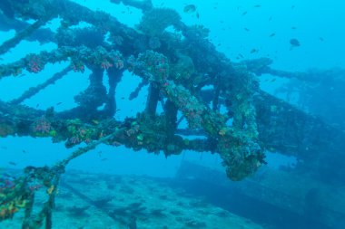 Okyanus mavisi kazasında, Maldivler