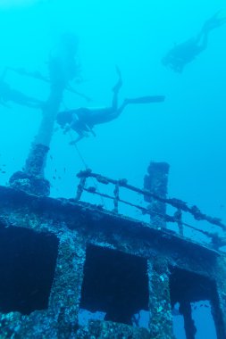 Batık ve Scuba Diver, Maldivler