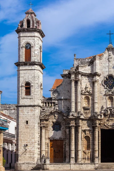 Catedral de Havana e Cão, Cuba — Fotografia de Stock