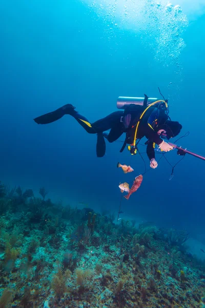 Plongeur sous-marin avec lance et poissons morts — Photo