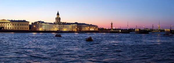 Kunstkamera 和涅瓦河，圣彼得堡全景 — 图库照片