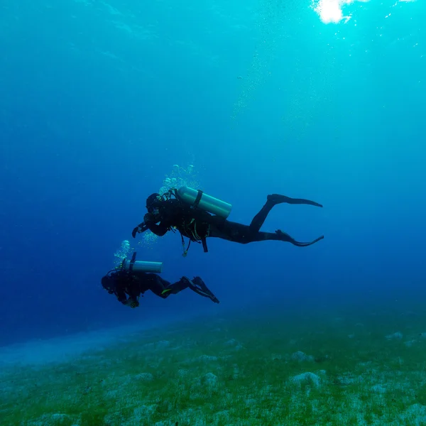 Silueta de dos buzos cerca del fondo del mar — Foto de Stock