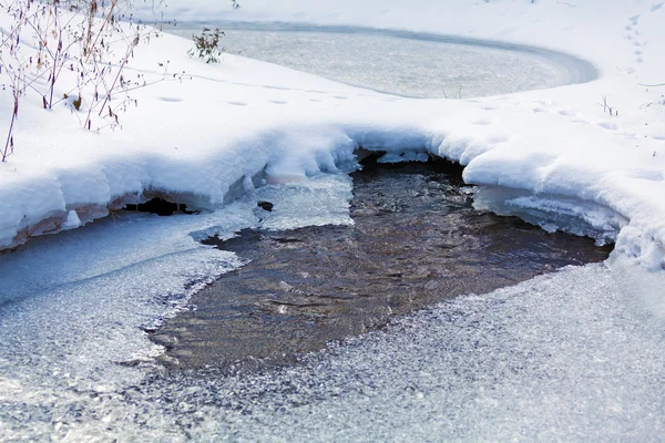 Forest River con neve all'inizio della primavera — Foto Stock