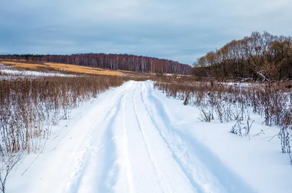Schneeglatte Straße und verschneites Feld — Stockfoto