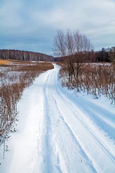 Snowy Road and Snow Covered Field — Stock Photo, Image