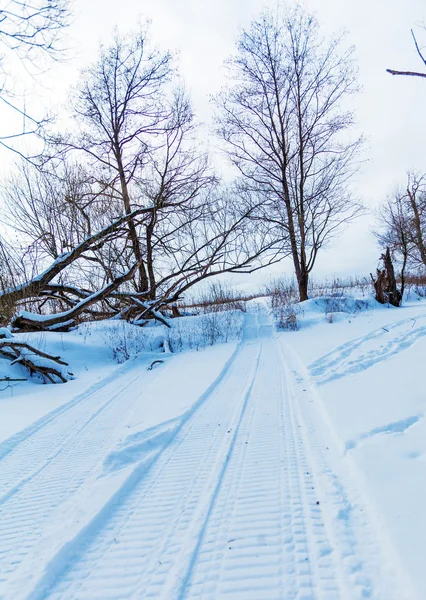 Snowy Road and Snow Covered Field — Stock Photo, Image