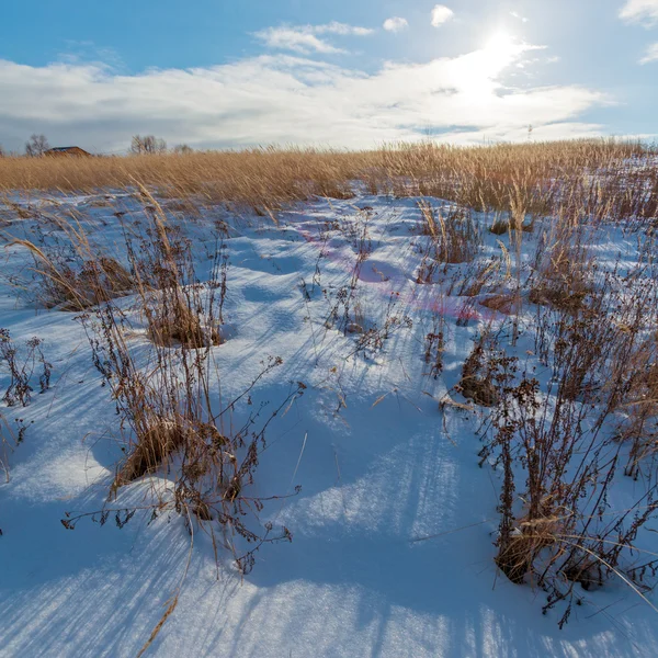 Campo cubierto de nieve y sol — Foto de Stock