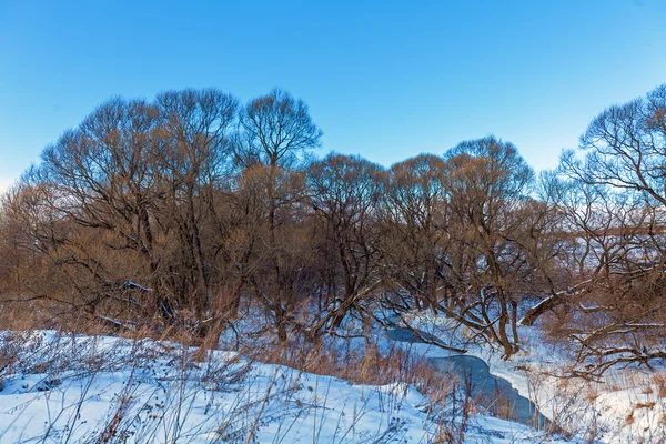 Las rzeka ze śniegiem na wczesną wiosną — Zdjęcie stockowe