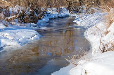 Orman Nehri ile erken Bahar kar