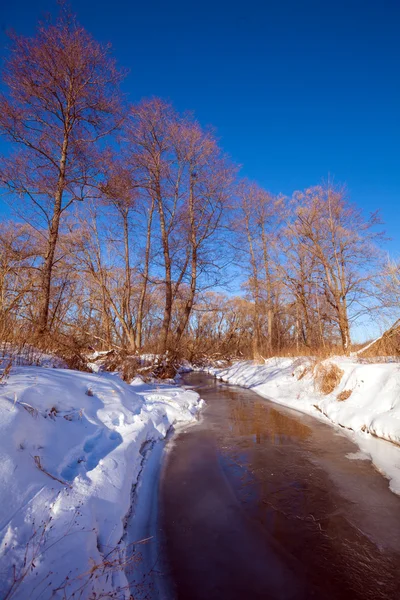 Forest River met sneeuw op vroege voorjaar — Stockfoto