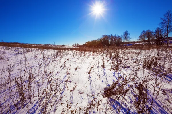 Trockenes Gras mit schneebedeckter Landschaft — Stockfoto