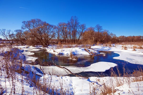 Waldfluss mit Schnee im Frühjahr — Stockfoto