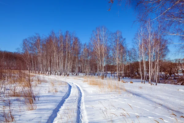 Snowy Road and Snow Covered Field — Stock Photo, Image
