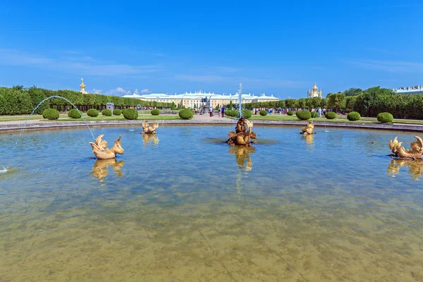 Peterhof Palace gün, Saint Petersburg — Stok fotoğraf