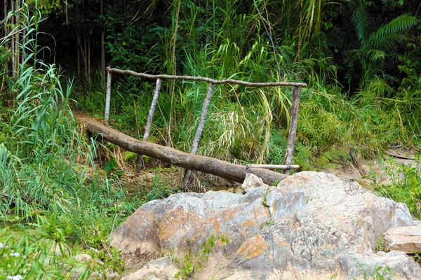 Podul din lemn crud din jungle — Fotografie, imagine de stoc