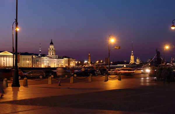 Kunstkamera ve Neva, Saint Petersbur — Stok fotoğraf