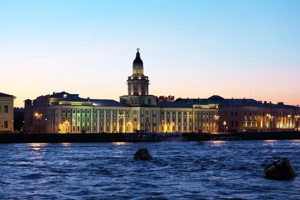 Kunstkamera och Neva, Saint Petersbur — Stockfoto